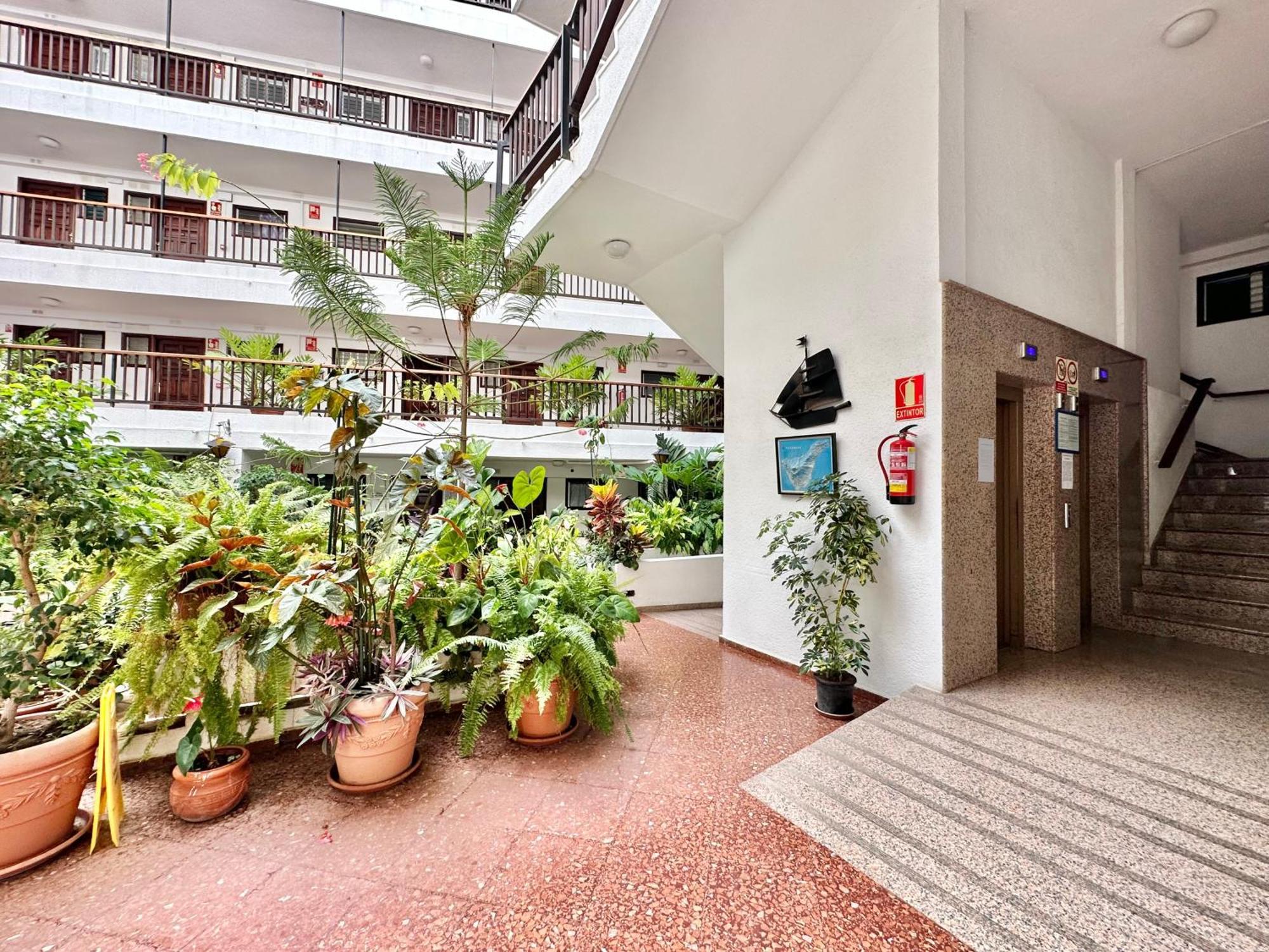 First Line Attic - Adults Only - Apartment Puerto de la Cruz  Luaran gambar